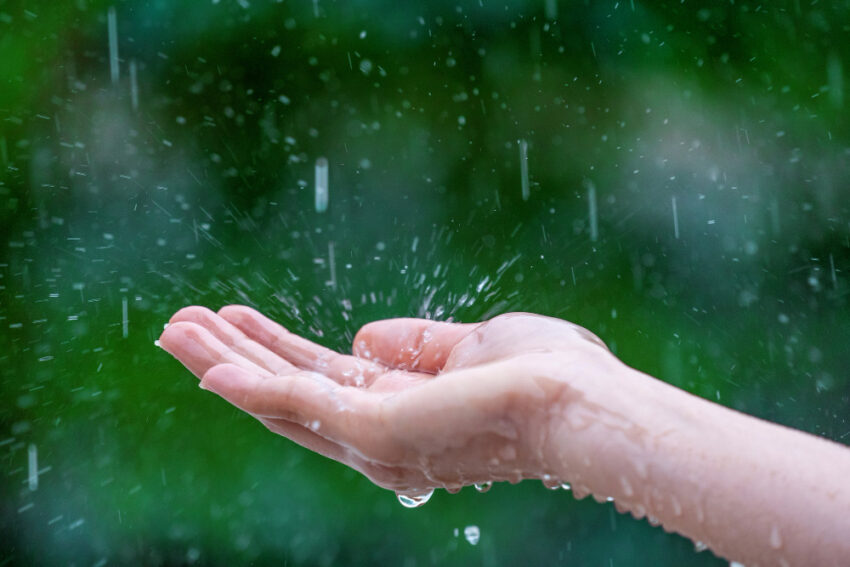 Cum să te bucuri de ploaie și să îi descoperi frumusețea și beneficiile